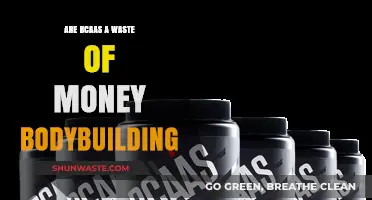 BCAA Supplements: Worth the Hype or Waste of Money for Bodybuilding?