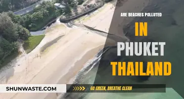 Phuket's Polluted Beaches: A Paradise Lost?