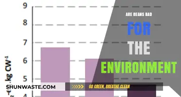 Are Beans Eco-Friendly? Uncovering Their Environmental Impact and Sustainability