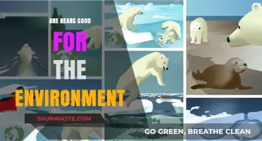 Bears' Ecological Impact: How These Predators Benefit Our Environment