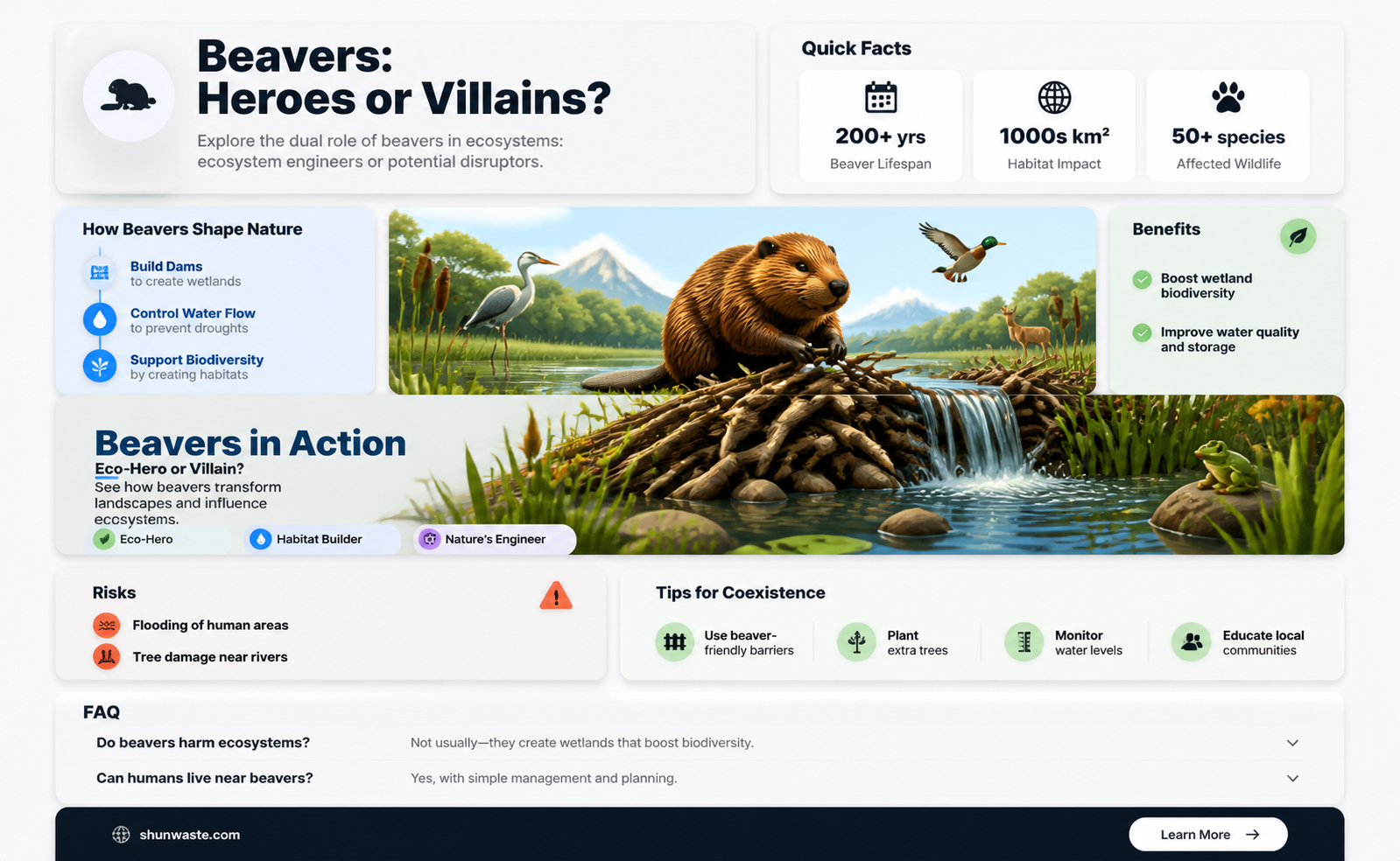 are beavers bad for the environment