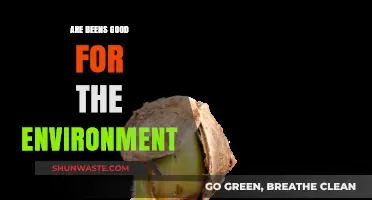 Beans' Eco-Friendly Impact: Sustainable Benefits for Our Planet Explained