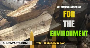 Beeswax Candles: Eco-Friendly Choice or Environmental Concern?