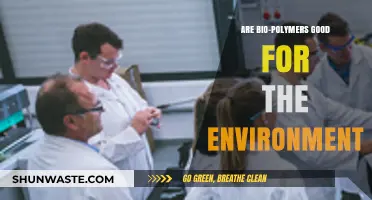Bio-Polymers: Eco-Friendly Solutions or Environmental Challenge?