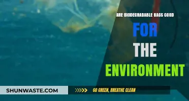 Are Biodegradable Bags Eco-Friendly? Uncovering Their Environmental Impact