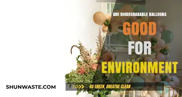 Biodegradable Balloons: Eco-Friendly Solution or Environmental Hazard?