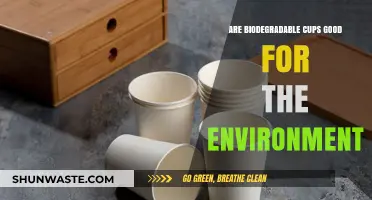 Are Biodegradable Cups Eco-Friendly? Uncovering Their Environmental Impact