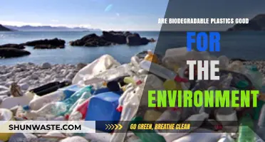 Biodegradable Plastics: Eco-Friendly Solution or Environmental Myth?