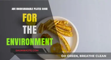 Biodegradable Plates: Eco-Friendly Solution or Environmental Myth?