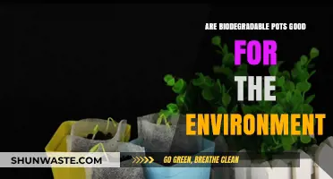 Eco-Friendly Gardening: Are Biodegradable Pots Truly Environmentally Beneficial?