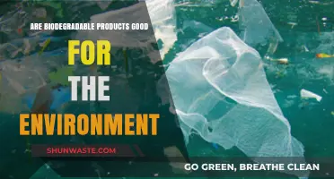 Biodegradable Products: Eco-Friendly Solution or Environmental Myth?