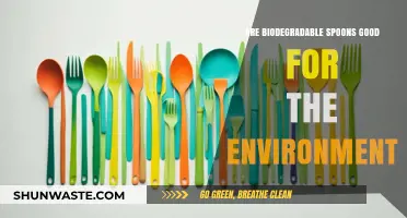 Biodegradable Spoons: Eco-Friendly Solution or Environmental Myth?