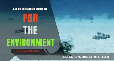 Are Biodegradable Wipes Eco-Friendly or an Environmental Hazard?