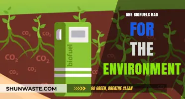 Biofuels and the Environment: Uncovering the Ecological Impact and Myths