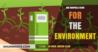 Biofuels and the Environment: Sustainable Solution or Greenwashed Myth?