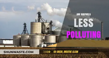 Biofuels: A Cleaner Energy Alternative?