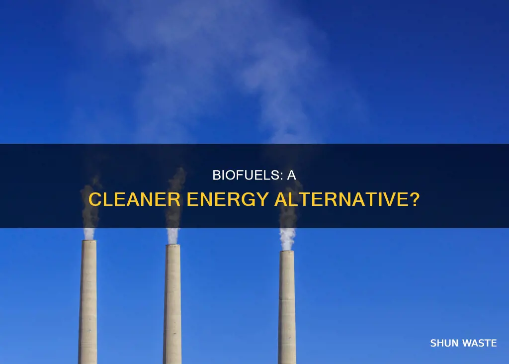 are biofuels less polluting