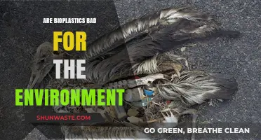 Bioplastics and the Environment: Sustainable Solution or Hidden Hazard?