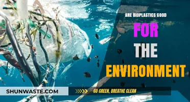 Bioplastics and the Environment: Sustainable Solution or Greenwashing Myth?