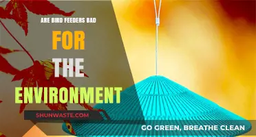 Bird Feeders and the Environment: Harmful or Helpful?