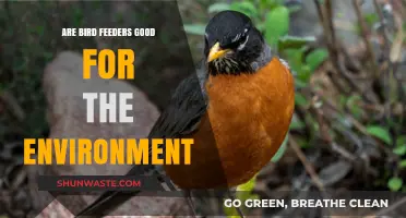 Bird Feeders: Environmental Boon or Unintended Ecological Disruption?