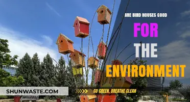 Bird Houses: Eco-Friendly Benefits for Wildlife and Your Garden