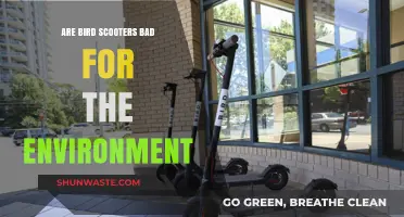 Bird Scooters: Eco-Friendly Solution or Environmental Hazard?