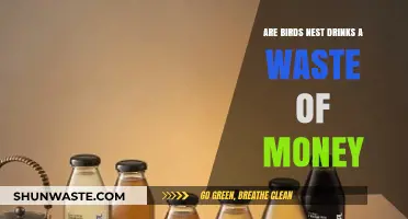 Are Bird's Nest Drinks Worth the Hype or Just Overpriced?