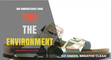Birkenstocks' Eco-Impact: Sustainable Footwear or Greenwashing?