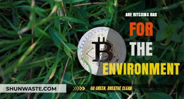 Bitcoin's Environmental Impact: Sustainable Future or Ecological Disaster?