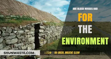 Black Houses and Environmental Impact: Uncovering the Hidden Ecological Consequences