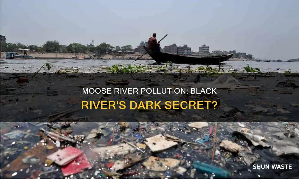 are black river moose river ny have polluted
