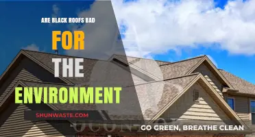 Black Roofs and Environmental Impact: Uncovering the Hidden Consequences