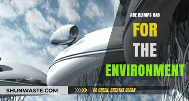 Are Blimps Eco-Friendly? Exploring Their Environmental Impact and Sustainability