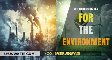 Blockchain's Environmental Impact: Sustainable Future or Ecological Nightmare?