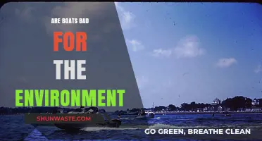 Boats and Their Environmental Impact: Are They Harmful?