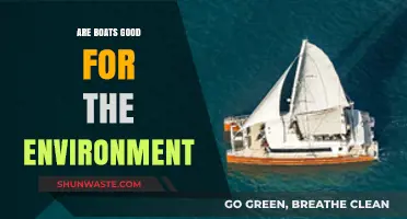 Eco-Friendly Sailing: Are Boats Environmentally Sustainable or Harmful?