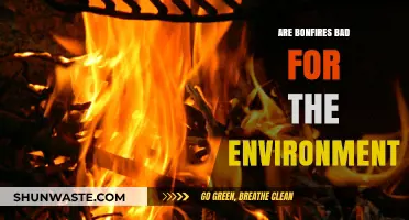 Bonfires and the Environment: Uncovering the Hidden Ecological Impact