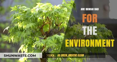 Bonsai Trees: Eco-Friendly Hobby or Environmental Concern?