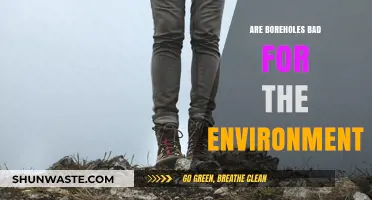 Environmental Impact of Boreholes: Sustainable or Harmful Practice?