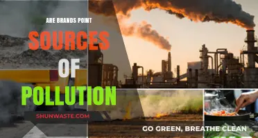 Brands and Pollution: Who's Responsible?