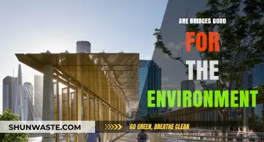 Eco-Friendly Infrastructure: Do Bridges Benefit Our Environment?