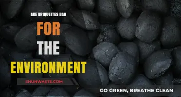 Are Briquettes Eco-Friendly? Uncovering Their Environmental Impact and Sustainability
