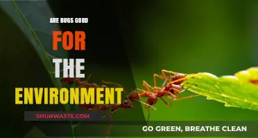 Bugs' Environmental Impact: Unveiling Their Crucial Role in Ecosystems