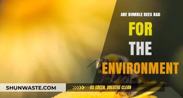Bumble Bees: Environmental Allies or Harmful Insects? The Truth Revealed