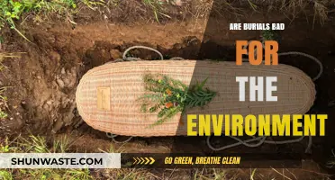 Eco-Friendly Farewells: Are Traditional Burials Harming Our Planet?