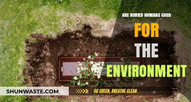 Buried Humans: Environmental Impact of Traditional Burials Explored