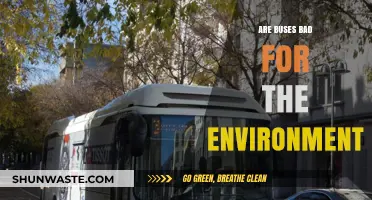 Are Buses Eco-Friendly? Uncovering Their Environmental Impact and Sustainability