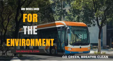 Are Buses Eco-Friendly? Exploring Their Environmental Impact and Benefits