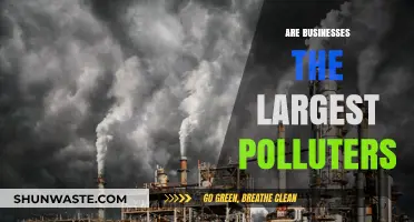 Who Pollutes More: Businesses or Individuals?